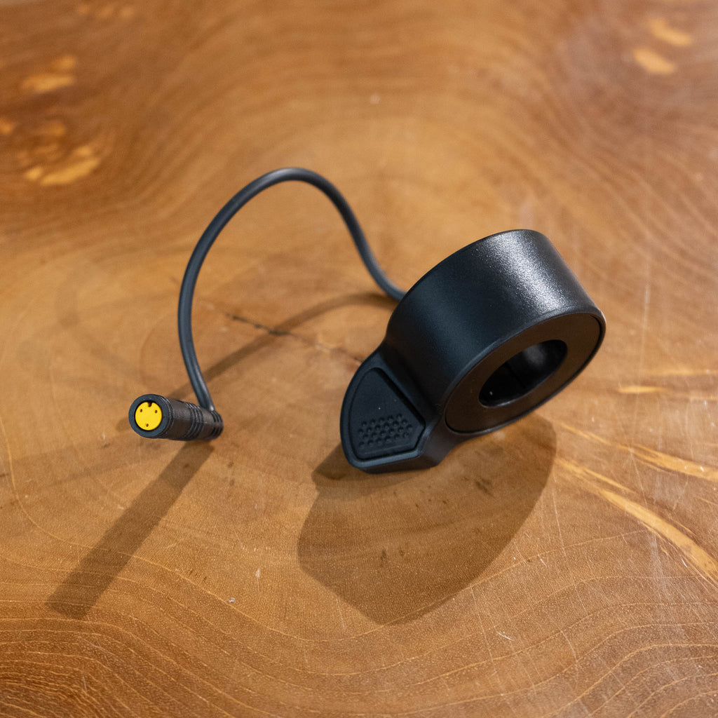 Catalog_Update-132_1024x1024.