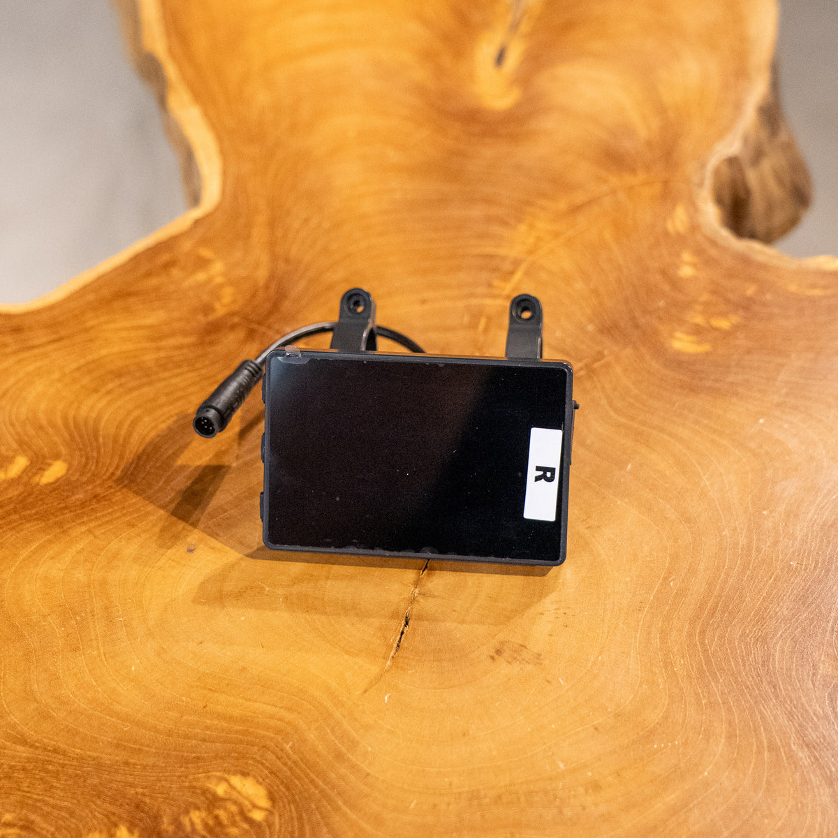 Display/Screen - E-Ride Pro