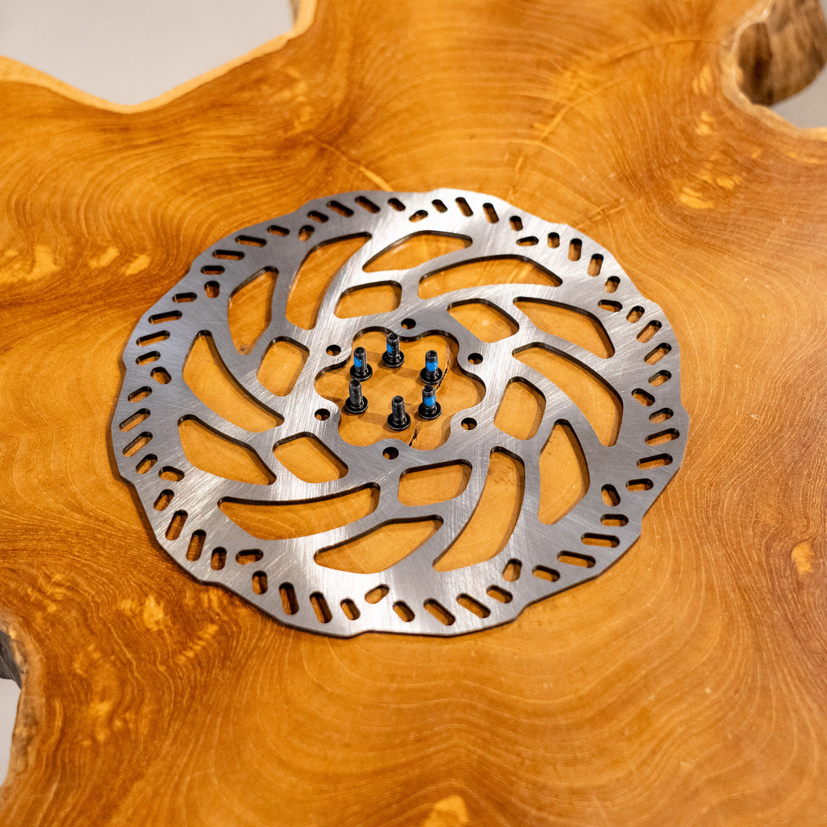 Brake Rotor - E-Ride Pro