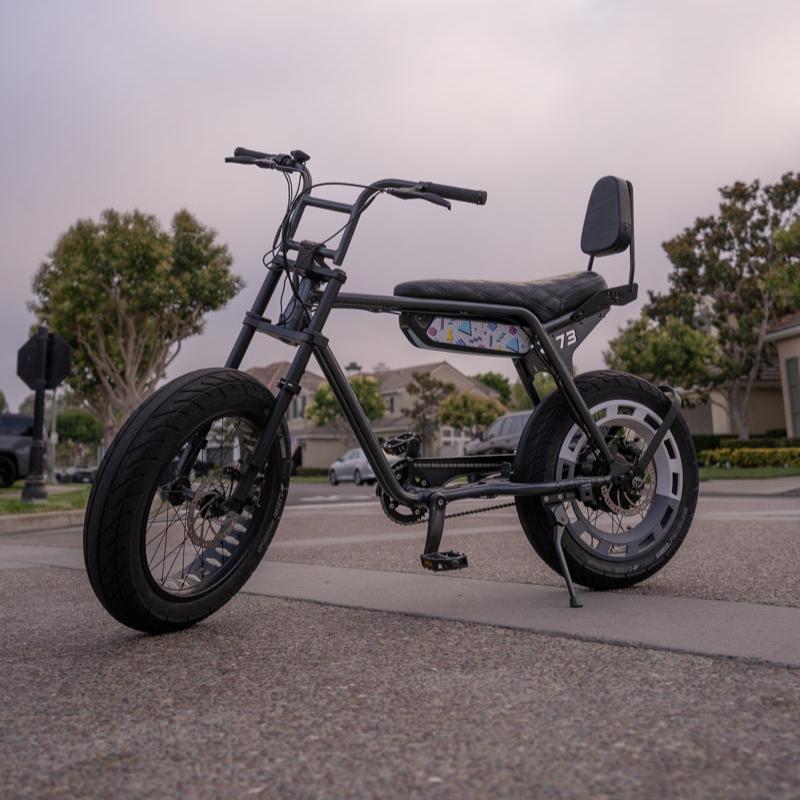 Frame Mount Sissy Bar W/ Backrest Pad- Blur Boundaries