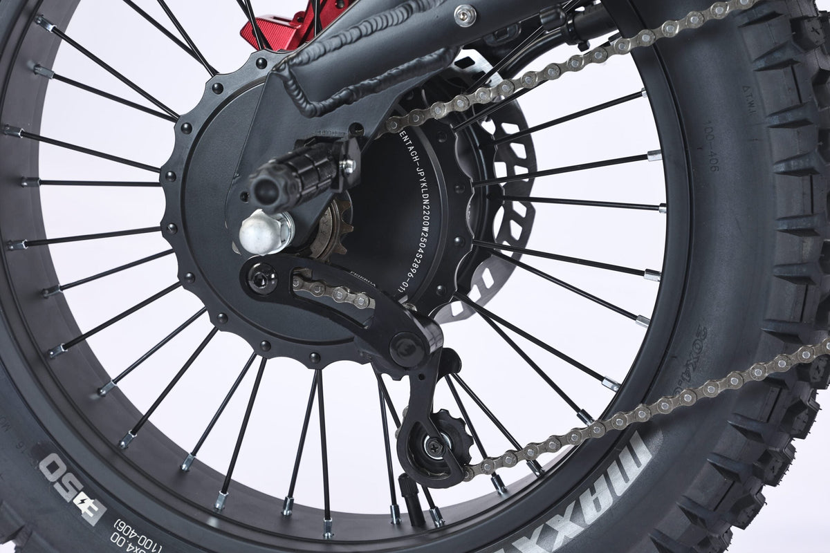 GhostCat F4X Hentach rear hub motor detail