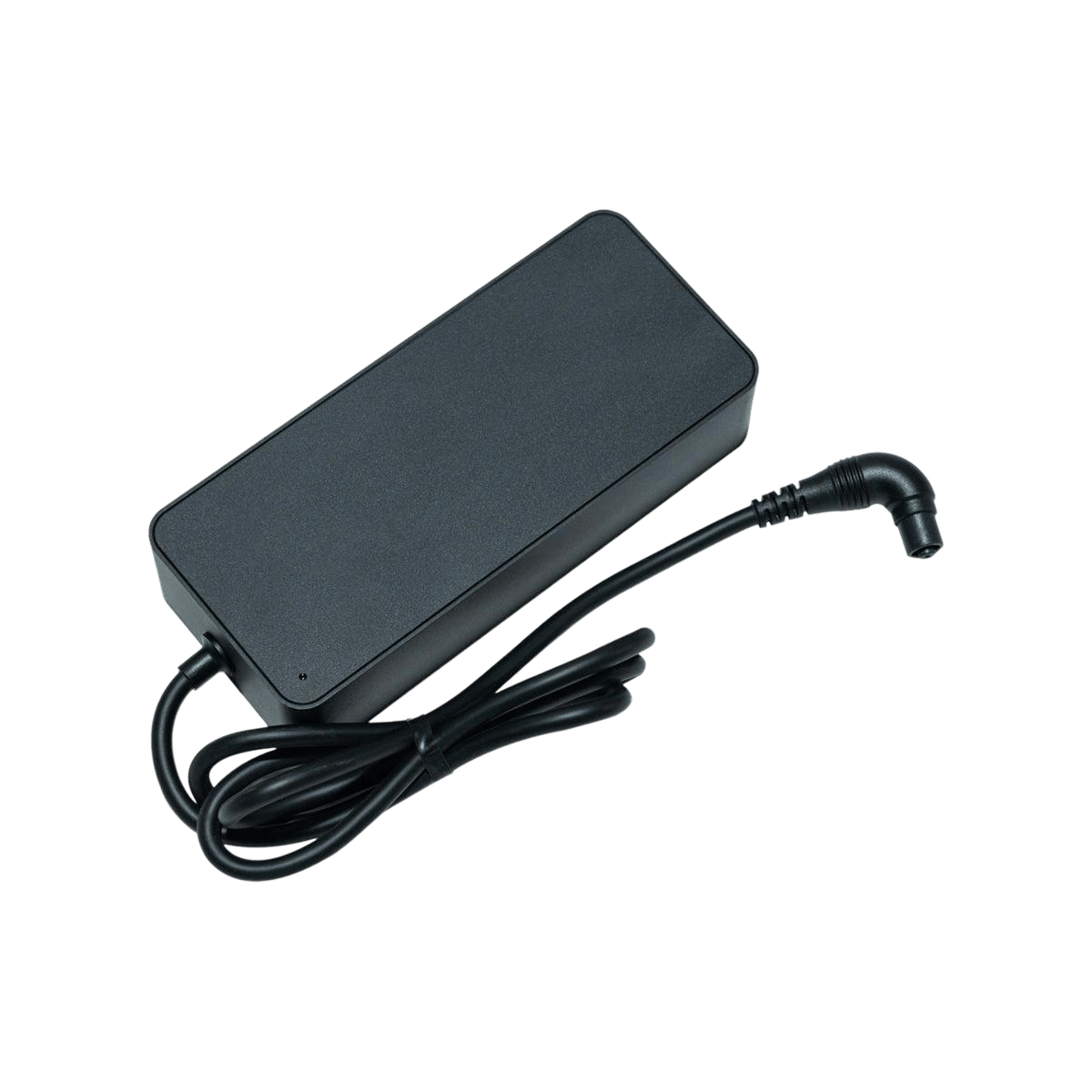 Segway Xafari Charger