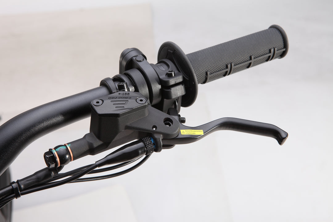 DOT4 Brake Assembly - E-Ride Pro