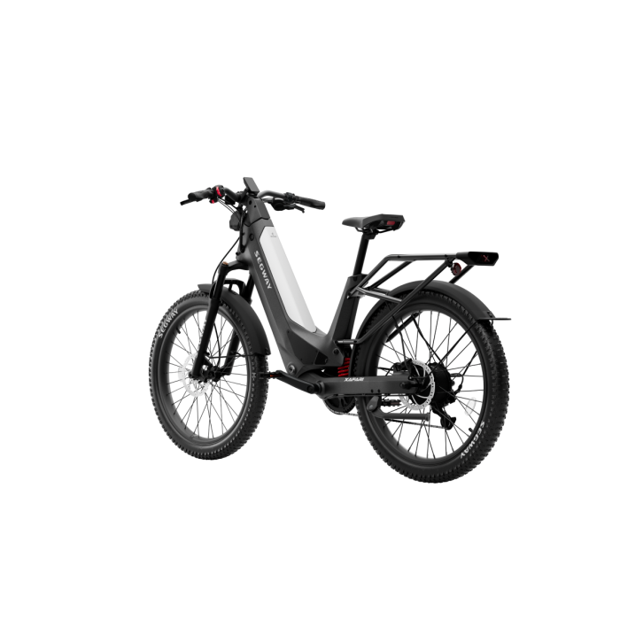 Xafari Electric Bike - Segway