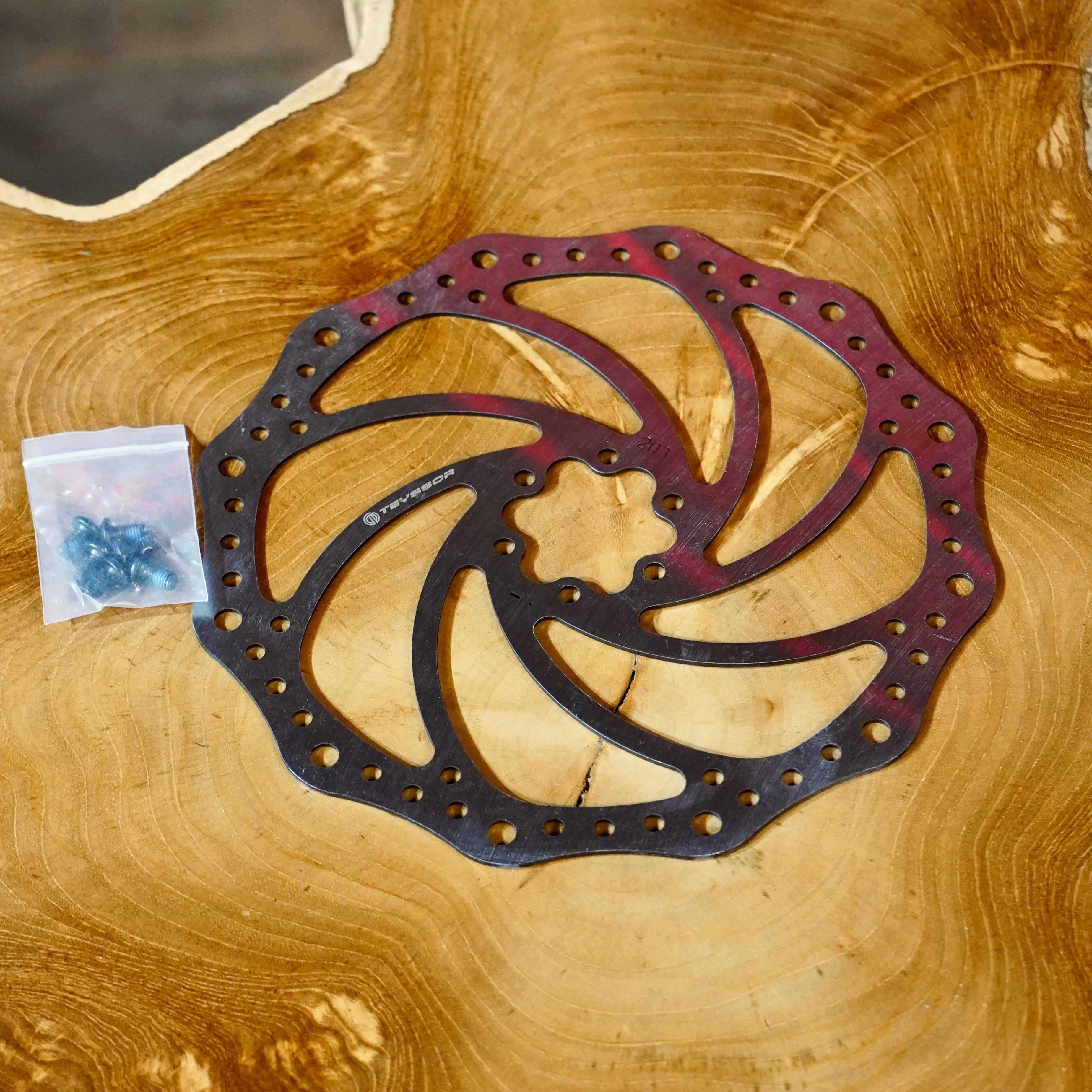 Brake Rotor Disk for E-Bike - Tektro - Last Mile